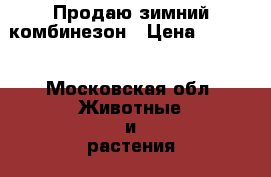 Продаю зимний комбинезон › Цена ­ 1 000 - Московская обл. Животные и растения » Аксесcуары и товары для животных   . Московская обл.